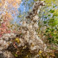 101026-GrandMarais-042