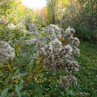 101026-GrandMarais-046