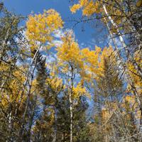 101026-GrandMarais-048