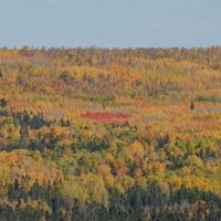 101026-GrandMarais-096