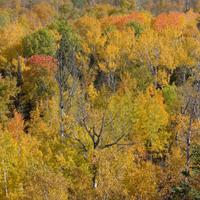 101026-GrandMarais-103
