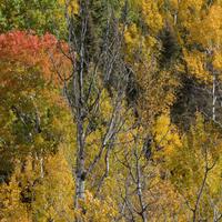 101026-GrandMarais-104