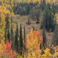 101026-GrandMarais-108