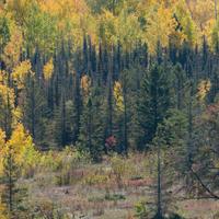 101026-GrandMarais-111
