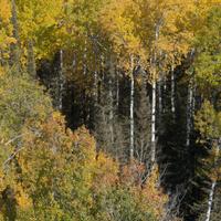 101026-GrandMarais-112