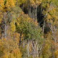 101026-GrandMarais-113
