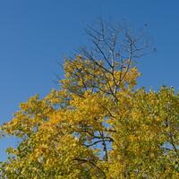 101026-GrandMarais-115