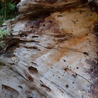 101026-GrandMarais-118