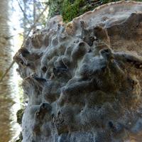 101026-GrandMarais-120