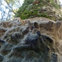 101026-GrandMarais-121