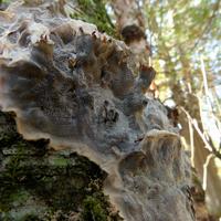 101026-GrandMarais-123