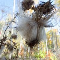 101026-GrandMarais-128