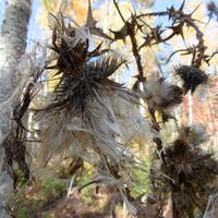101026-GrandMarais-129