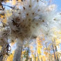 101026-GrandMarais-133