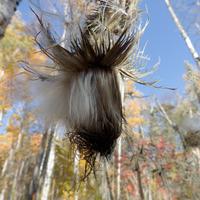 101026-GrandMarais-136