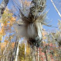 101026-GrandMarais-137
