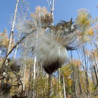 101026-GrandMarais-140