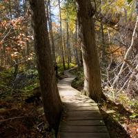 101026-GrandMarais-147