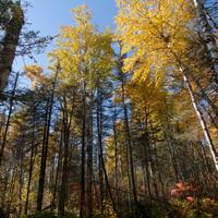 101026-GrandMarais-155