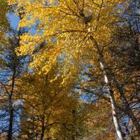101026-GrandMarais-158
