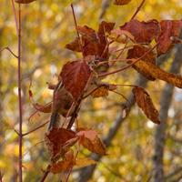 101026-GrandMarais-168