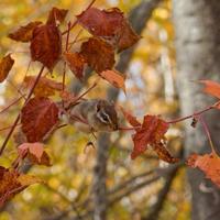 101026-GrandMarais-169