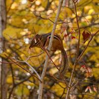 101026-GrandMarais-171