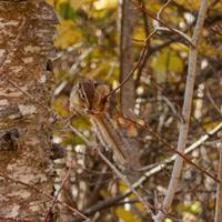 101026-GrandMarais-172