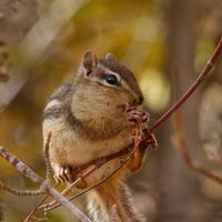 101026-GrandMarais-174
