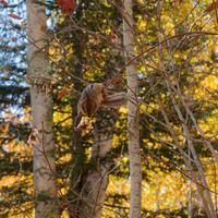 101026-GrandMarais-176