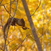101026-GrandMarais-179