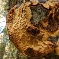 101026-GrandMarais-182