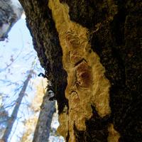 101026-GrandMarais-186
