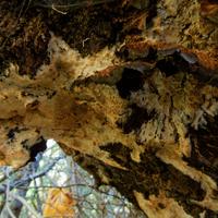 101026-GrandMarais-193