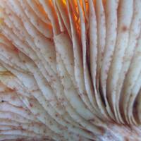 101105-CentennialPark-037
