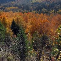 101115-obergmountain-005