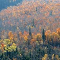 101115-obergmountain-009