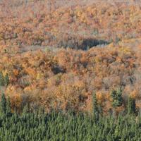 101115-obergmountain-086