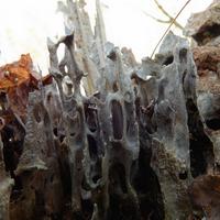 101125-GrandMarais-038