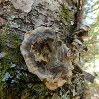 101125-GrandMarais-072