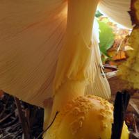 101213-grandmarais-004