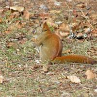 101512-centennialpark-004