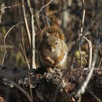 101512-centennialpark-074