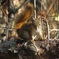 101512-centennialpark-076