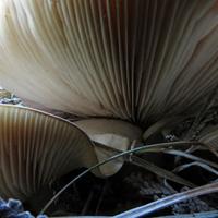 101512-centennialpark-086
