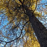 101512-centennialpark-094