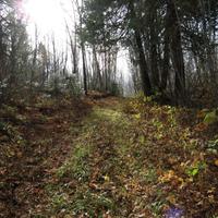 1019-102115-NorthShoreHiking-217