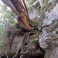 1019-102115-NorthShoreHiking-261