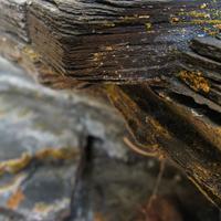 110909-centennialpark-076