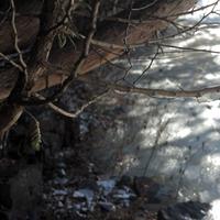 111814-centennialpark-006